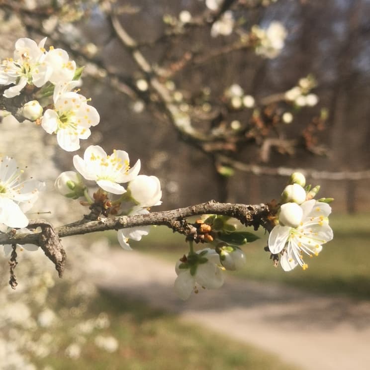 Easter Egg Special bis Montag 6. April 