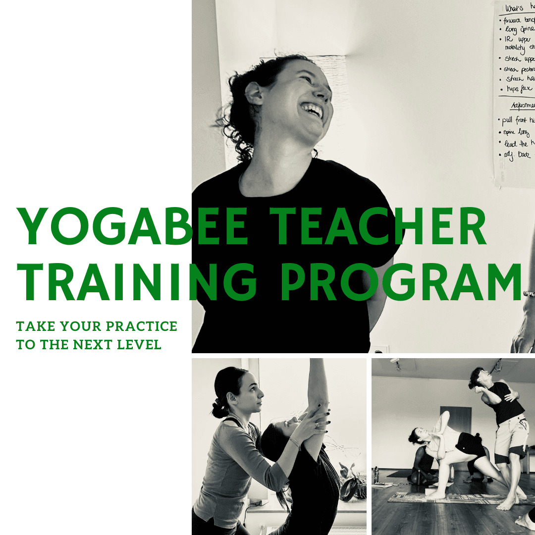 YogaBee 200 hour Teacher Training