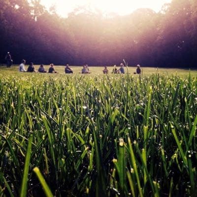 Open Yoga Yoga 757, 40 € in donations – thank you!