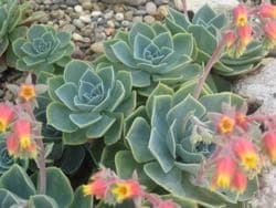 Beckenboden - Mula Bandha