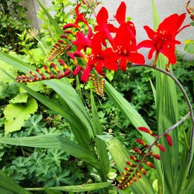 607 € in Donations